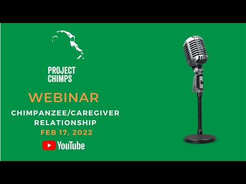 Webinar: Chimpanzee/Caregiver Relationship