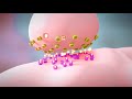Mental Illness Treatment Options Nucleus Health