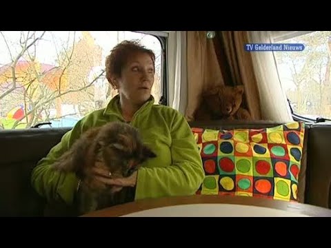 GLD Nieuws 3 december 2010 - Nieuws