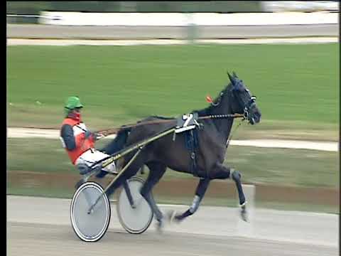 Trotto 16/01/2018 - 1ª corsa