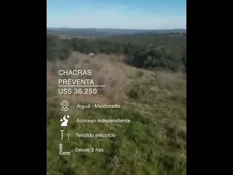 Video de YouTube - Chacra en Aiguá