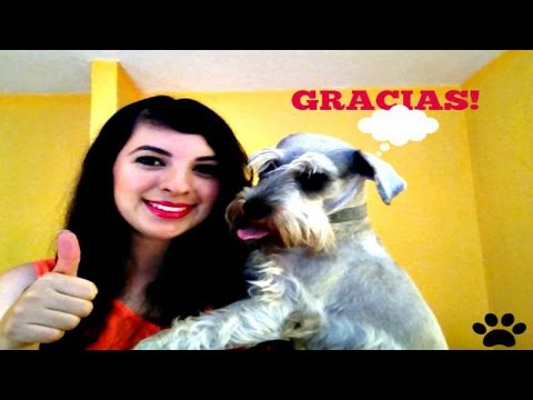 GRACIAS! +100 SUSCRIPTORES! + COMO LLEGO MI PERRO A MI VIDA!