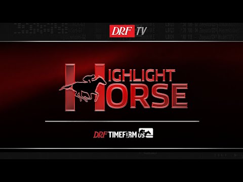 Highlight Horse - Aqueduct Race 8 - February 21, 2019
