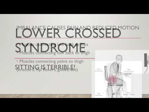 Lower Crossed Syndrome – CAROL WING