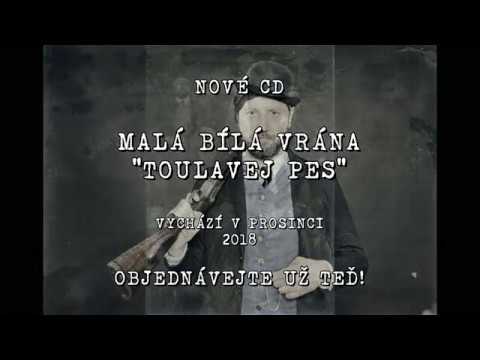 Malá bílá vrána - Malá bílá vrána - nové CD "Toulavej pes"  (2018)