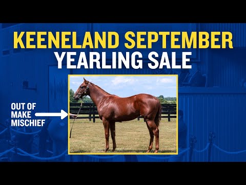 KEE SEPT SALE PREVIEW: Hip #32 Out of $750K earner Make Mischief