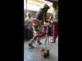 Young Sangoma