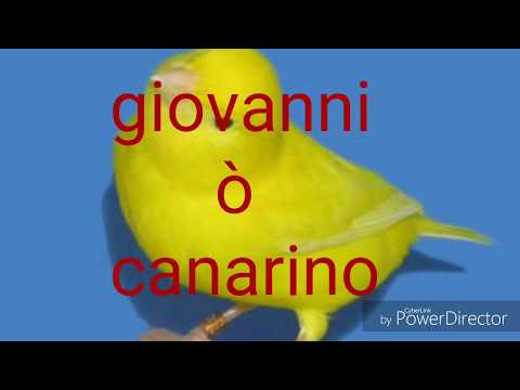Mal di collo è stato molto utile LFK frattura della colonna vertebrale cervicale