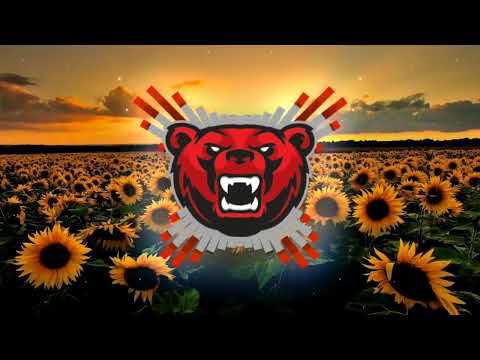 The Frajle feat. Zeljko Bebek - Zuta ruza (Cocaine Cole Dubstep Remix)