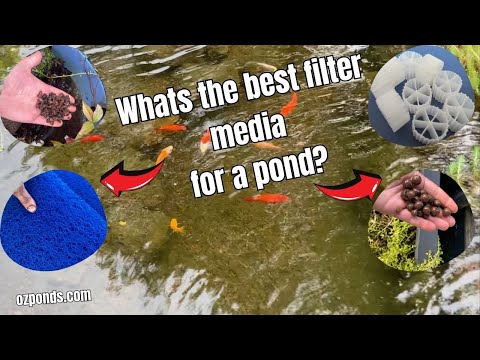 What's the best filter media for a fish pond?