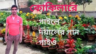 গাই লে দেয়ালের গান গাই ও । gayle doya ler  gaan gaio . bangali song 2024.