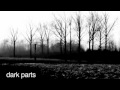 Perfume Genius - Dark Parts (Schwarzwald's ...