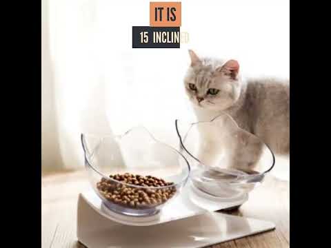 Top 5 cat bowls/cat eating bowl| non-slip cat bowl