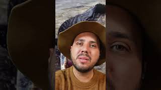 Pescador é Atacado por Jacaré Açu no Rio Araguaia 