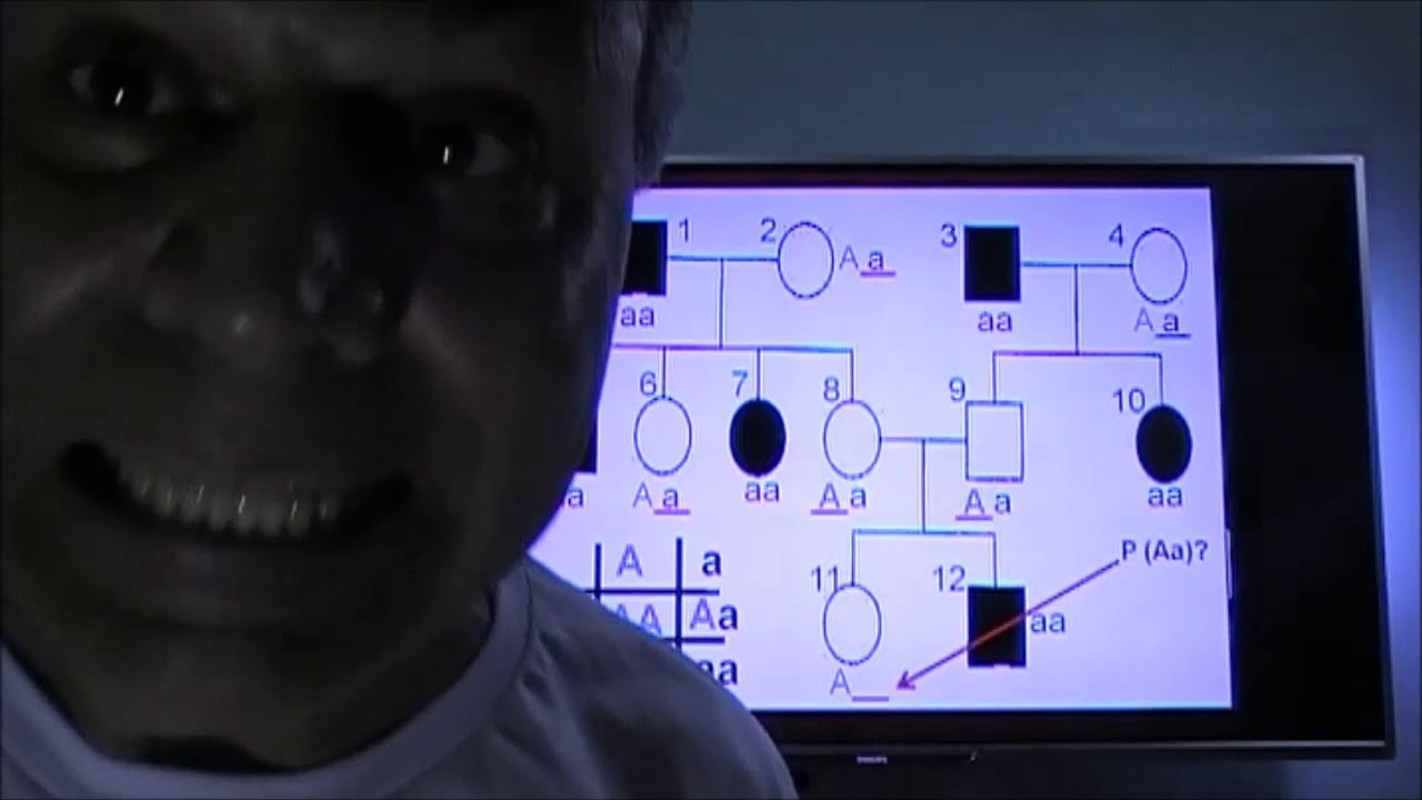 Heredograma ou Genealogia. Genética. Parte 4