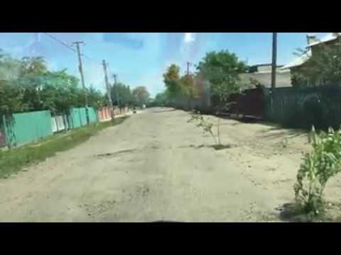 У Тисменицькому районі із ям на дорогах “ виросли” дерева