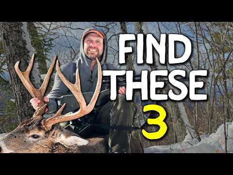 Public Land Late Season: Find These 3 Things and You’ll Find Bucks