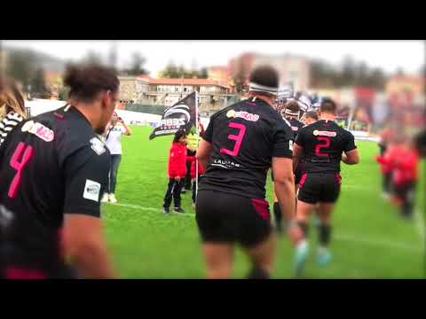 Zebre Vs Dragons l'attesa della partita