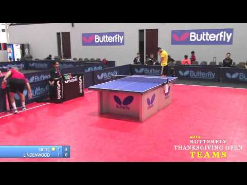 2014 Butterfly Teams - Division 1 Finals