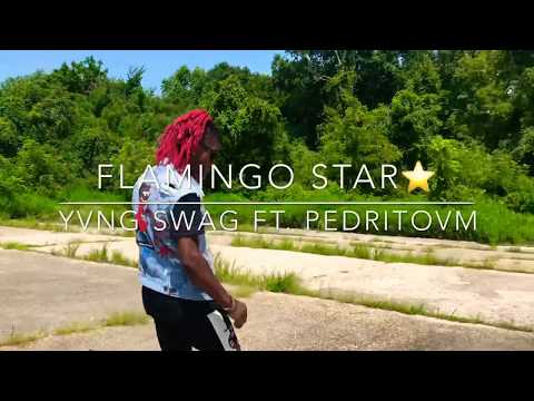 FLAMINGO STAR - Yvng Swag ft. Pedrito Vm (Dance Video) #FlamingoStarChallenge