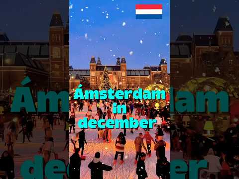 Amsterdam Christmas Lights 2025 ✨❄️ | A Fairytale Holiday in Holland!