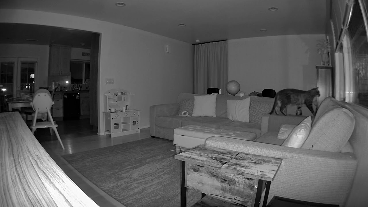 Arlo Essential Pan Tilt Indoor Camera 2K - night time example - YouTube