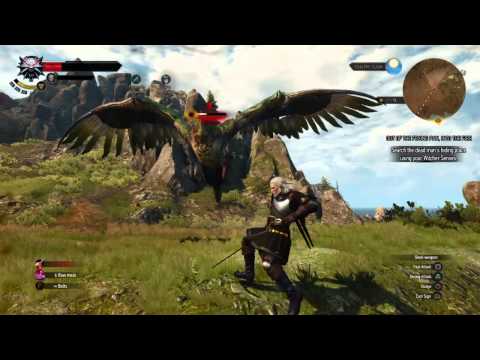 The Witcher 3: Basilisk Fight