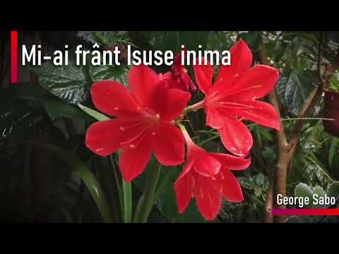 Mi-ai frãnt Isuse inima [George Sabo