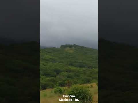 Biomapampa pós chuva #campanha #campo #pecuaria #pecuariasustentavel #riograndedosul