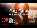 Seethala Pinne සීතල පින්නේ Sherley Vayjayantha EDM New Remix 2025 Sinhala Old Co