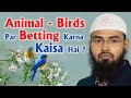 Animal - Birds Par Betting Karna Kaisa Hai ? By @AdvFaizSyedOfficial