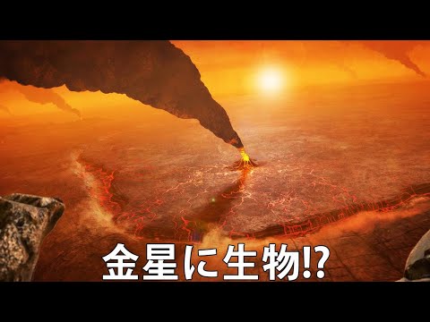金星の奇妙な酸性の雲が研究者を困惑させる – 「それが何であるかはわかりません」
