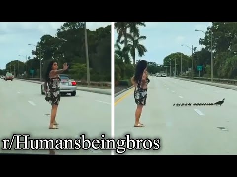 r/Humansbeingbros | click to protect all ducks