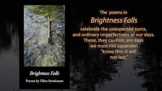 Brightness Falls-Poetry