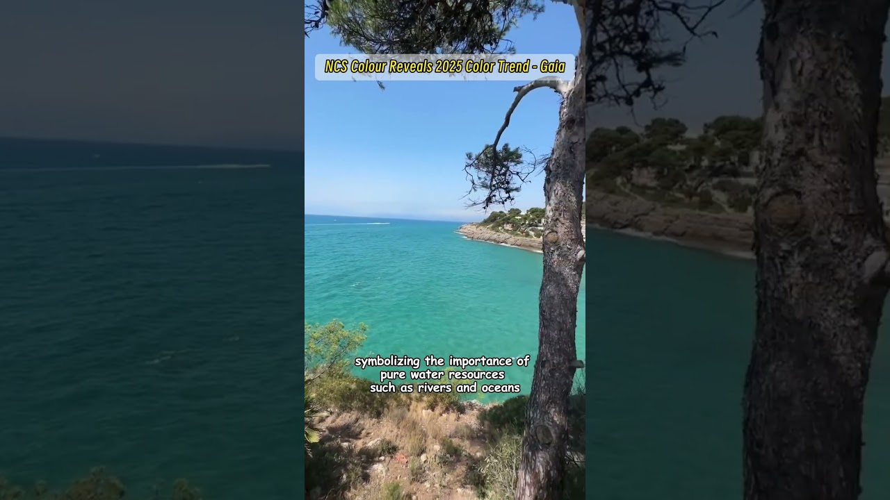 NCS Colour Reveals 2025 Color Trend - Gaia