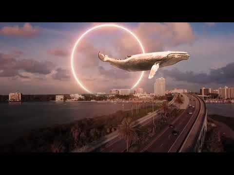 Bernhard Gander: MORBIDABLE - Contrabass clarinet: Fabrizio Bardelli