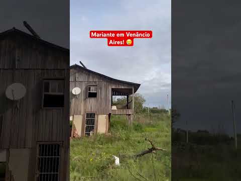 Mariante em Venâncio Aires! 😢#venancioaires #riograndedosul #enchente
