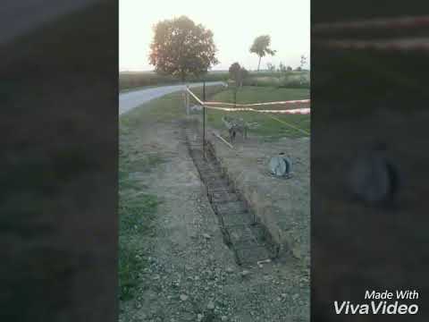 Il pepe semina la lentiggine Gli unguenti o le creme da pigmentary notano risposte