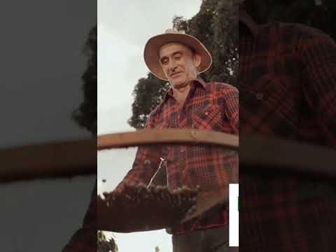 São João da Urtiga- RS