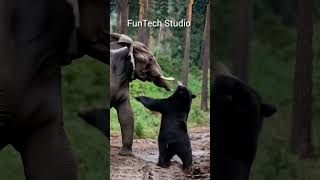 Elephant Vs Bear Fight 😱 #usa #wildlife #animals #trending #viralvideo #village #forest #usa #brazil