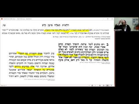 3.48 Panorama of Halocho - Nitzovim/Vayeilech 5783