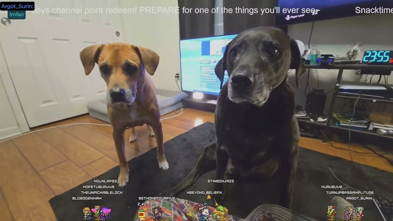 youtube VOD