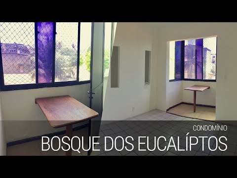 Os Eucaliptos video