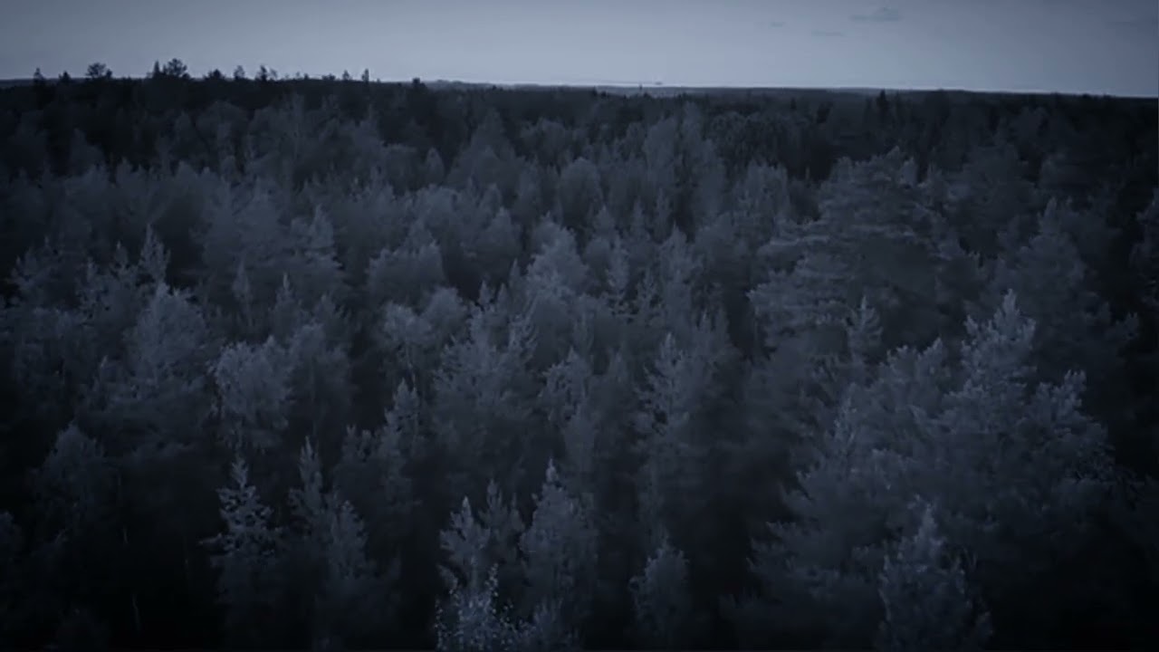 Teaser for 'In The Earth'