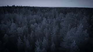 Teaser for 'In The Earth'