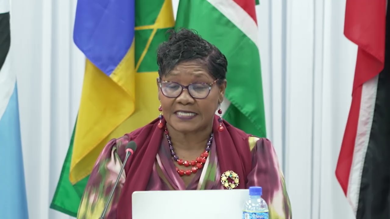 Opening Remarks | Helen Royer | CARICOM Secretariat | 34th CARICOM Meeting of Chief Medical Offi...