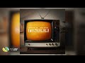 TheologyHD And Sino Msolo Imizwilili Official Audio