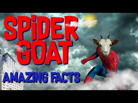 AMAZING FACTS SPIDER GOAT...IT'S TRUE,GOAT DNA MIXED WITH A SPIDERS DNA.