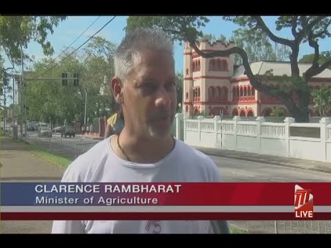 Walkers Complete Course of Trinidad Marathon