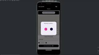 Place Navigator video preview